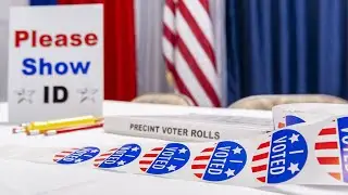&lsquo;When you&rsquo;re against voter ID, you want to cheat. That&rsquo;s all&rsquo;: Trump