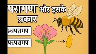 POLLINATION AND ITS TYPES / परागण और इसके प्रकार/ NEET EXAM CLASS 12 BIOLOGY