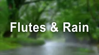 Healing Native American Flute & Rain Sounds | Stop Overthinking, Sleep Deeper, Heal Faster