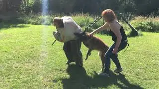 Дрессировка по БР   Марина и Лиса