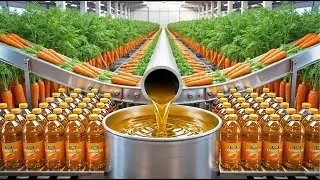 How Carrot Oil Is Made 🥕 (Full Factory Process)