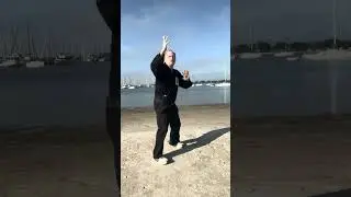Chinese Sword can become 5 Swords and Double Blades.