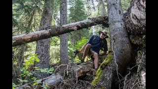 Bushwhacking 101