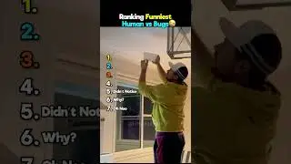 Ranking Funniest Human vs Bugs