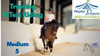 Preparing for Our Petplan Area Festival 2025 at Medium Bronze