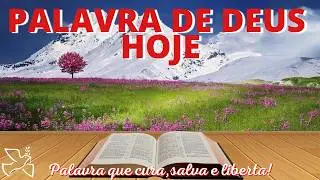 Palavra de Deus para mim hoje | Milagres não dependem do que vemos, mas do quanto cremos (Mc 6,1-6)