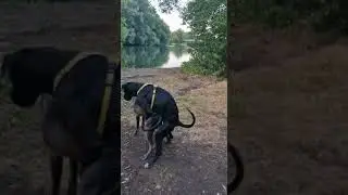 Sky & Scoopy Doo beim schnackseln