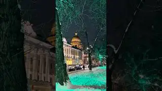 🌲Новый 2026 год! Санкт-Петербург. Дворцовая площадь. #shorts #shortvideo