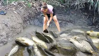 Fishing Technology: Traditional Fishing, Catch Fish - Trap Big Fish | Nguyet Fishing