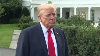 Дональд Трамп поддержал Болсонару после решения Верховного суда Бразилии