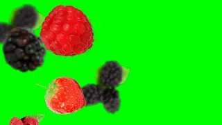 FRUITS OF THE FOREST FALLING🏕️ MOTION 💯|#greenscreen effects - chroma key animations  VIDEO HD*1080*
