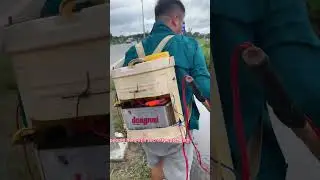 Suddenly met a man who was fishing with electricity #electrofishing  #carp #conservation
