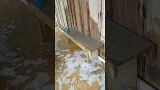 Satisfying Water and Broom Cleaning ASMR #asmr #satisfying #cleaning