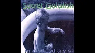 Secret Goldfish - All The Sun