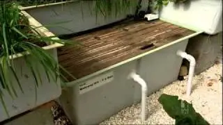 Murray Hallam on Gardening Australia