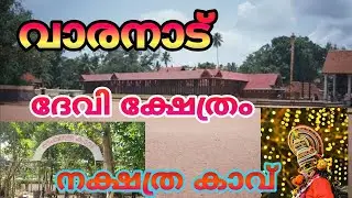 Varanad Devi Temple Cherthala | ചേർത്തലയിലെ വാരനാട് ദേവി ക്ഷേത്രവും ക്ഷേത്രത്തിലെ നക്ഷത്രക്കാവും