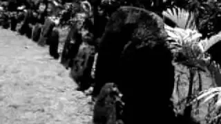 Yap Land of Stone Money