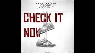LYNE - CHECK IT NOW