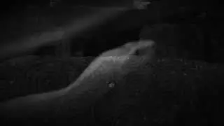 Norot ~ Nathrach Album Preview II (New Song Excerpts)