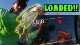 Ловля краппи на огромную кучу веток с помощью самодельной блесны УХ ТЫ!!!