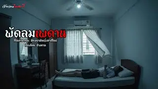 พัดลมเพดาน | วังวนไดอารี่
