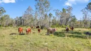 Lot 2, 1720 1862 Bauple Woolooga Rd, Miva