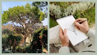 A Giant Tree - Learning to Draw 140