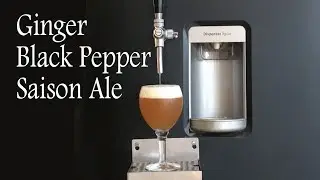 Cerveja caseira - Saison com Gengibre e Pimenta-do-Reino