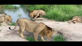 PRIVATE TAILOR MADE SAFARI BY INTO MY WILD AFRICA