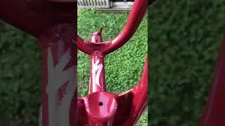 Specialized Hotwalk 12 Custom Painted