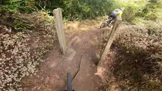 sortie vtt a cilaos a 3 dans la foret