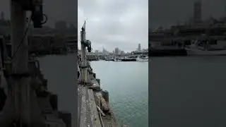 Отчет о морепродуктах на пирсе 45 Water2Table в Сан-Франциско.