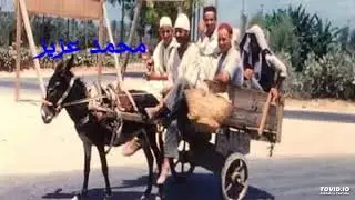 مطريشي