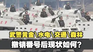 武警黄金、水电、交通、森林部队，撤销番号后，如今现状如何？