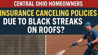Don't Let This Get Your Policy Cancelled! | Forza Roof Cleaning