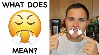 What does the Face with Steam From Nose Emoji mean? (Frustrated Emoji/Nose Smoke Emoji) | Emojis 101