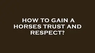 How to gain a horses trust and respect?