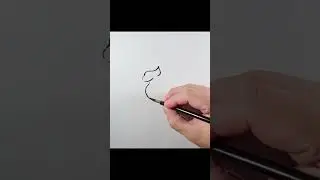 Cat 🐱 Black & White Line Art Drawing | Relaxing Ink Illustration #sketch