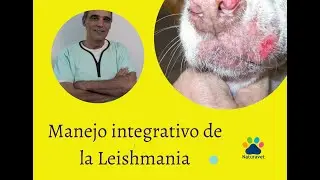 LEISHMANIA en perros con visi&oacute;n integrativa
