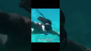 An unusual device that replaces scuba gear