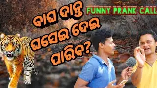 New odia prank. Bhalu ku papi. Funny prankcall. Odia comedy. Mr Dibya comedy and prank.