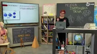 Domaća zadaća za 7. razred: Biologija - Mejoza, životinjska tkiva