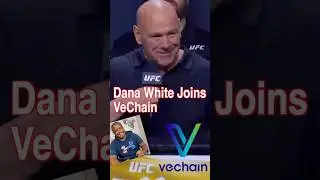 The UFC and VeChain: A Knockout Crypto Partnership