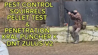 PELLET TEST & PEST CONTROL SQUIRRELS KRAL PUNCHER K DNT ZULUS V2 