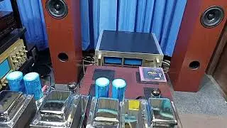 lungyim~Cary Audio SLP-98L Preamp - ts audio mono block power amplifier ( 22 )