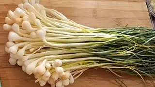 #كسكسي_باليازول مع سر البنة من أروع الوصفات التونسية الزمنية👩‍🍳