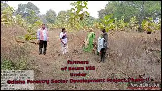 Farm Forestry for Climate Action and Carbon Markets, OFSDP-II, Rengali, Sambalpur Forest Division 