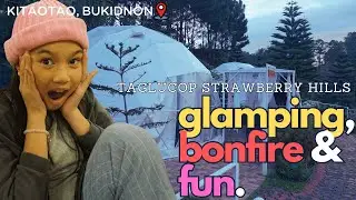 Незабываемый опыт глэмпинга в Таглюкопе, Земляничные холмы 🏕️💝 Часть 1 [4K]
