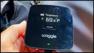 Van Life with Dogs: An Overview and Four-Month Review of the Waggle Pet Monitor