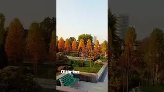 Toshkentda kuz #uzbekistan #travel #uzbekistan #nature #love #fall #autumn #tourism #city #art #home